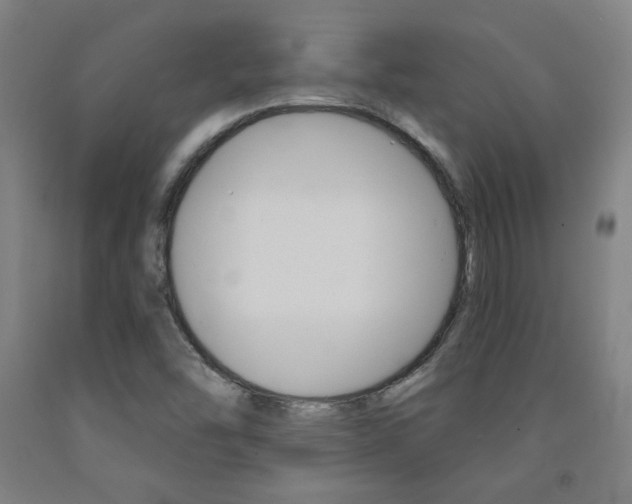 X0000093131454200709261025
