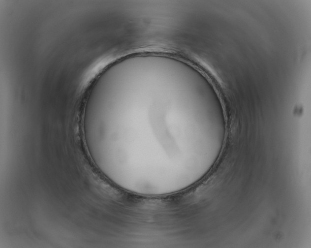 X0000093131455200709261025