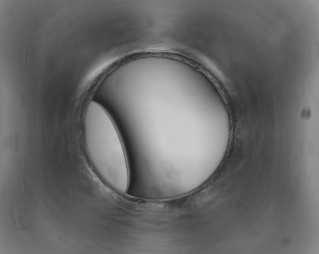 X0000093131456200709261025
