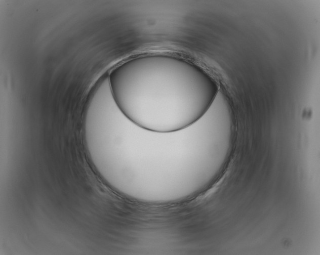 X0000093131457200709261025