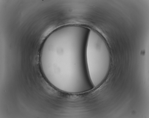 X0000093131459200709261025