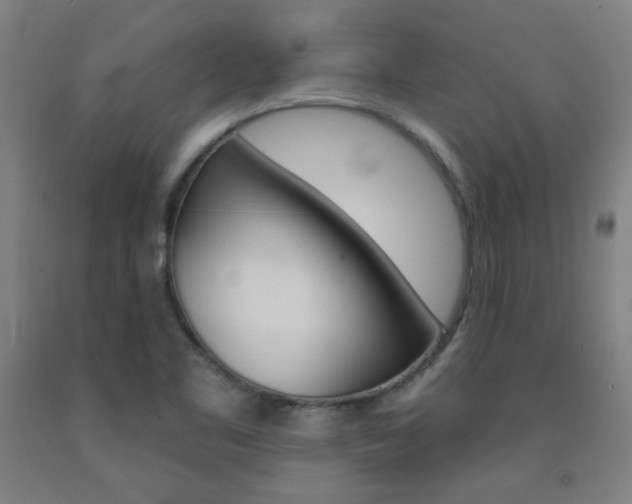 X0000093131461200709261025