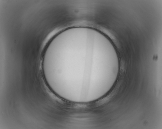 X0000093131462200709261025
