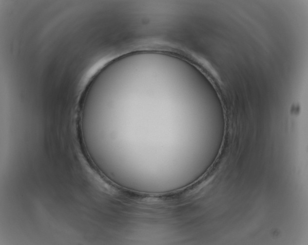 X0000093131463200709261025