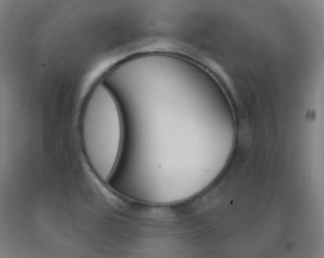 X0000093131464200709261025