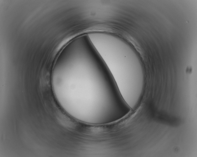 X0000093131465200709261025