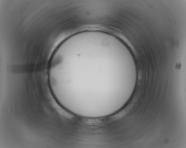 X0000093131466200709261025