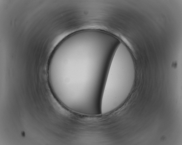 X0000093131468200709261025