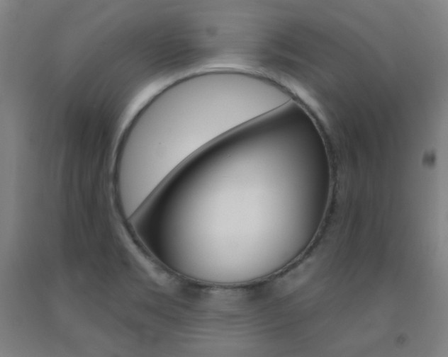 X0000093131469200709261025