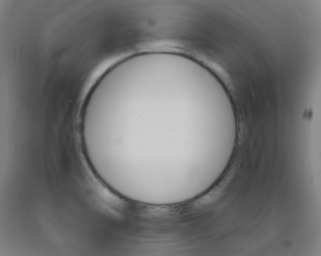 X0000093131470200709261025