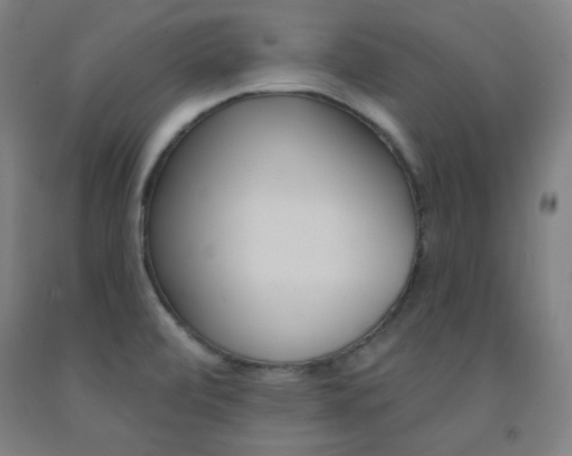 X0000093131472200709261025