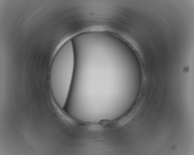 X0000093131473200709261025