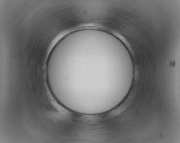X0000093131474200709261025