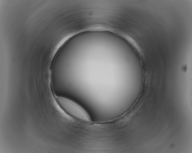 X0000093131476200709261025