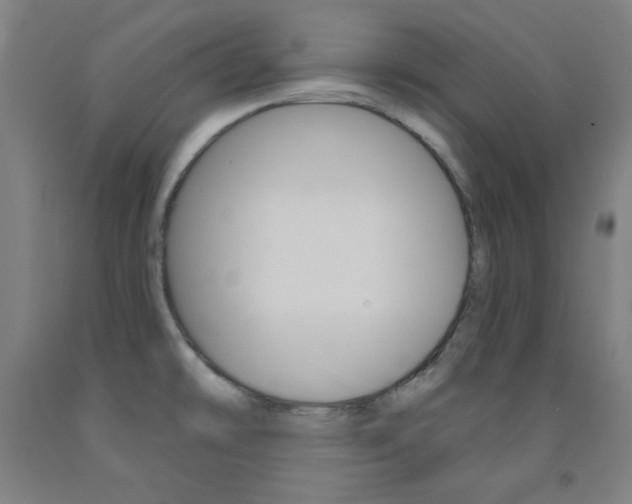 X0000093131478200709261025