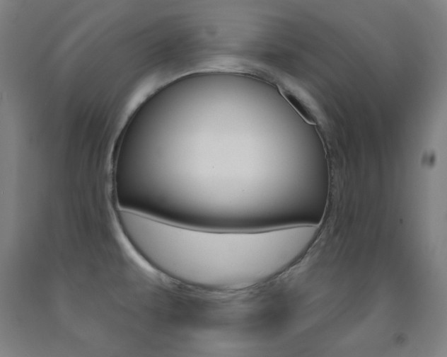 X0000093131479200709261025