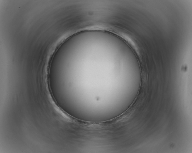 X0000093131480200709261025