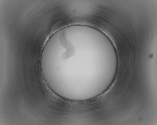 X0000093131481200709261025