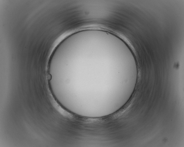 X0000093131482200709261025