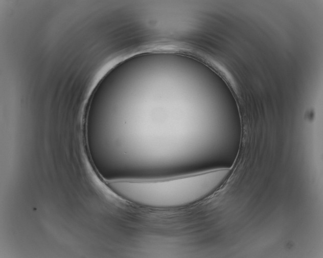 X0000093131483200709261025