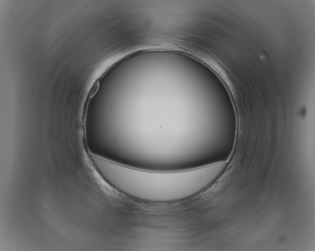 X0000093131485200709261025