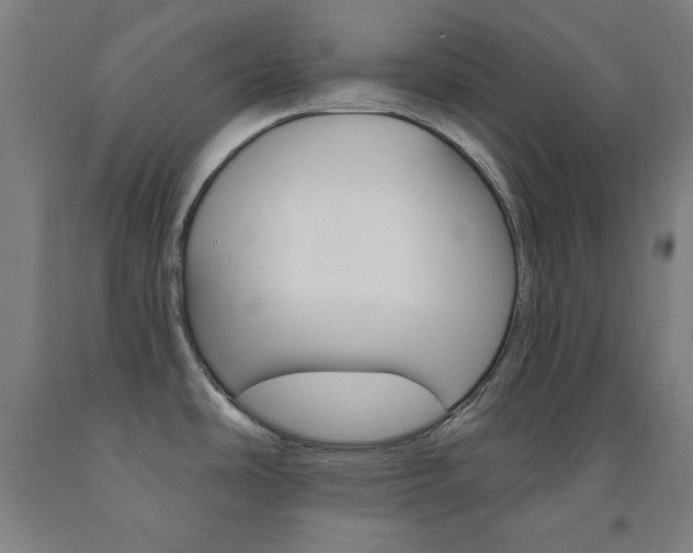 X0000093131486200709261025