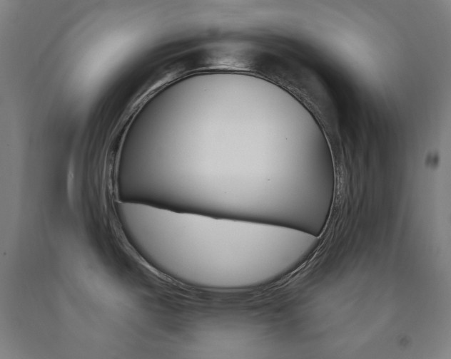 X0000093131487200709261024