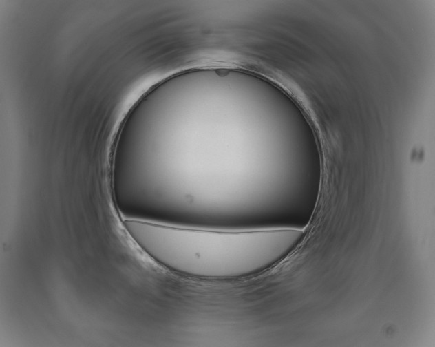 X0000093131488200709261024