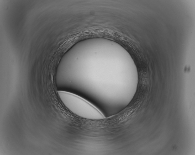 X0000093131489200709261024