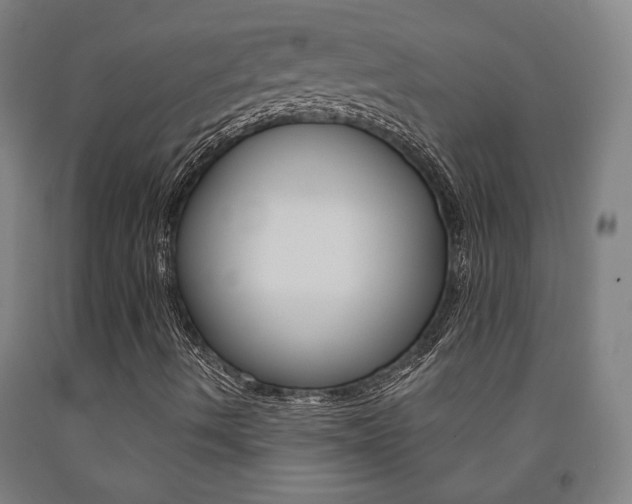 X0000093131490200709261024