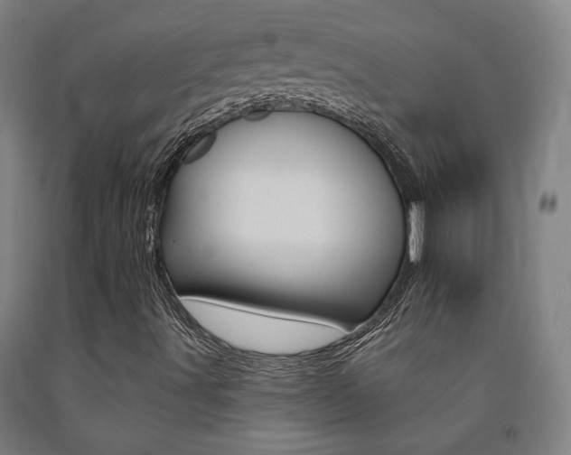 X0000093131491200709261024