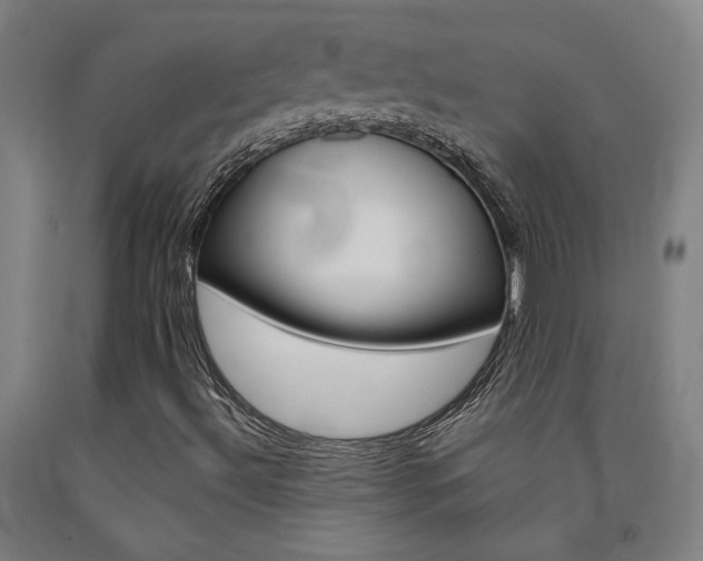 X0000093131492200709261024