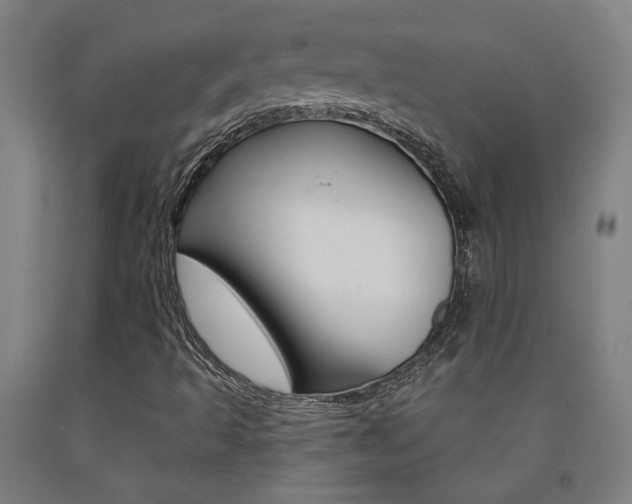 X0000093131493200709261024