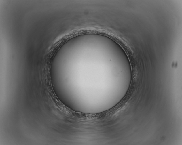 X0000093131494200709261024