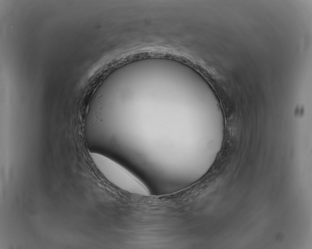 X0000093131495200709261024