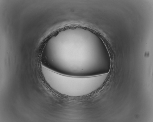 X0000093131496200709261024