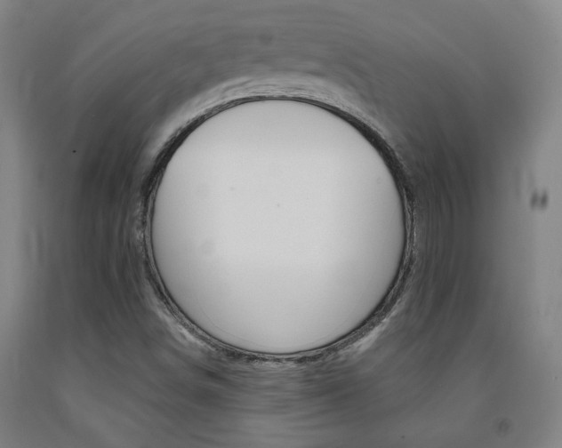 X0000093131498200709261024