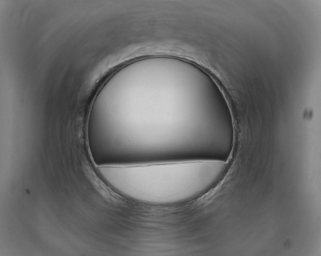 X0000093131499200709261024