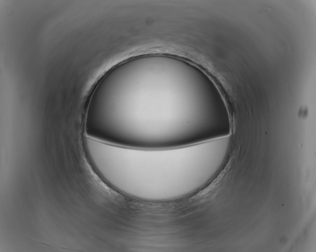 X0000093131500200709261024