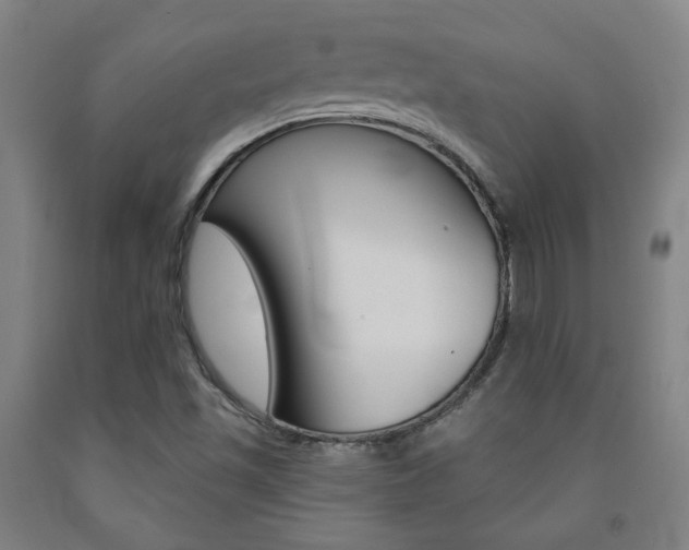 X0000093131501200709261024