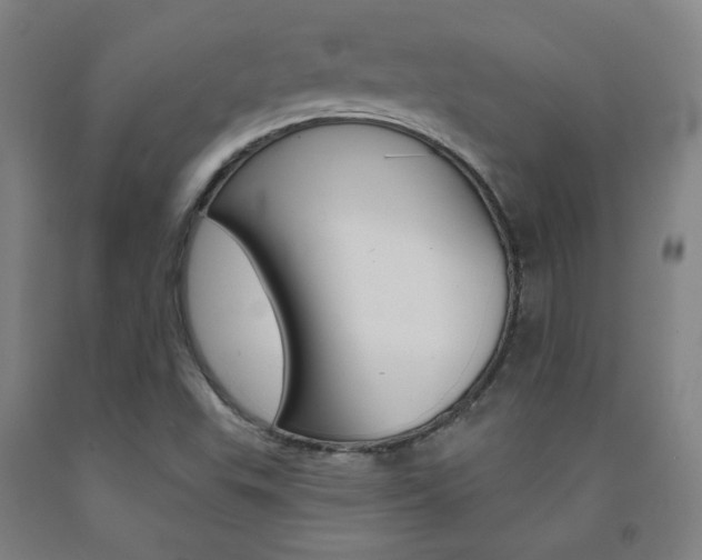 X0000093131503200709261024