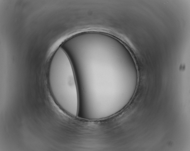 X0000093131504200709261024