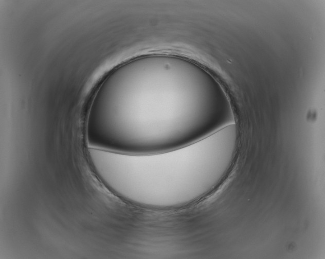 X0000093131506200709261024