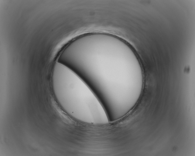 X0000093131507200709261024