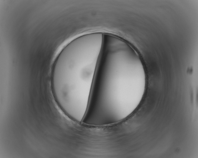 X0000093131508200709261024