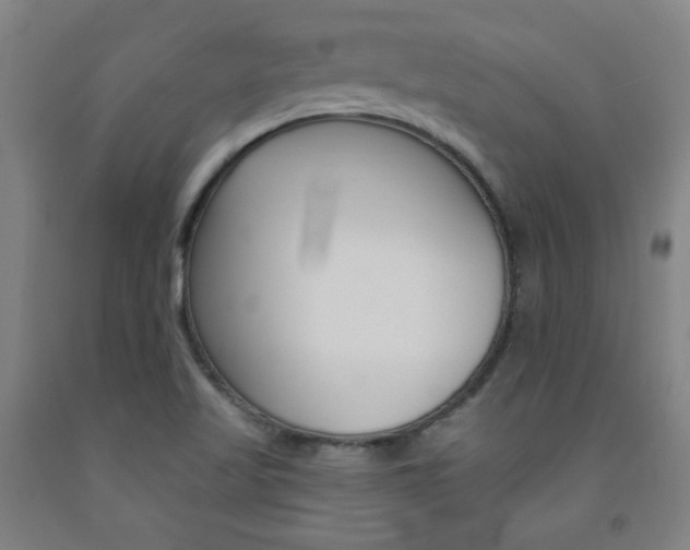 X0000093131509200709261024