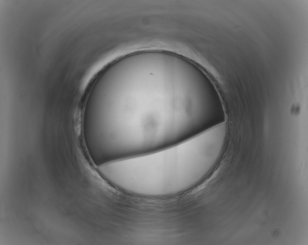 X0000093131510200709261024