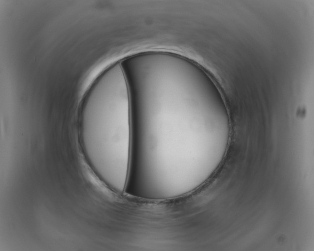 X0000093131511200709261024