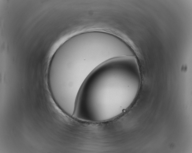 X0000093131512200709261024