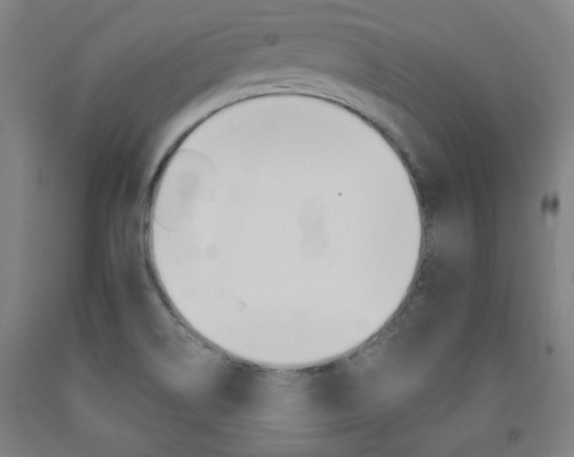 X0000093131514200709261024